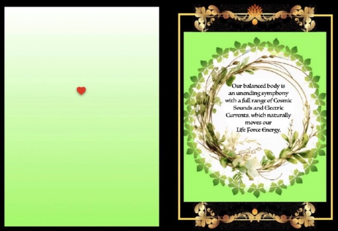 #39 CHAKRAS JP 2